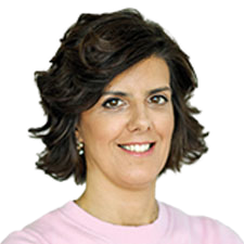 A guerra das rosas no 25 de Novembro