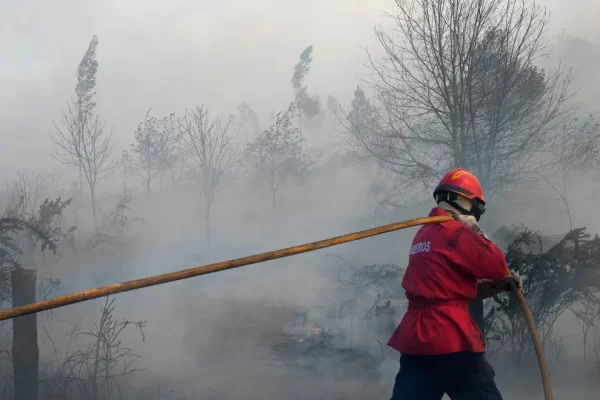 Bombeiros do Fundão podem ser expulsos caso se confirmem as acusações