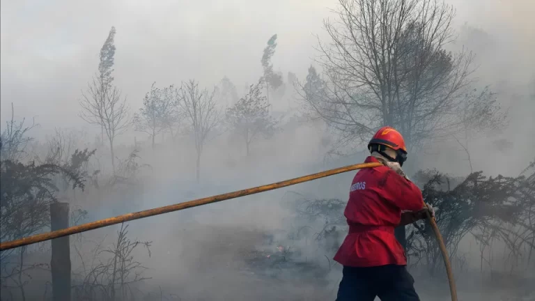Bombeiros do Fundão podem ser expulsos caso se confirmem as acusações