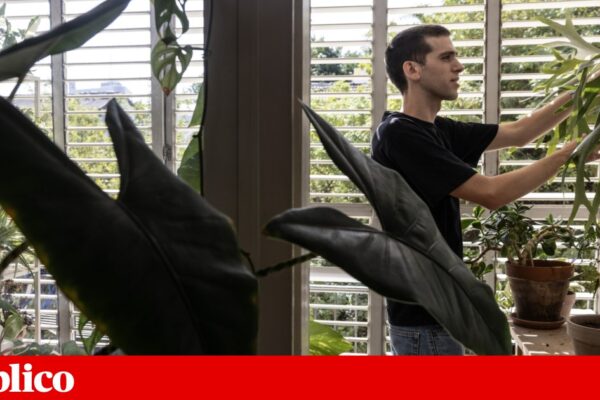 Cansados da guerra e do Governo de Netanyahu, os israelitas emigram em número crescente