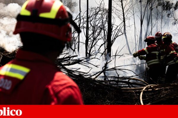 Comandante de Bombeiros do Fundão demite-se após caso de violação no quartel