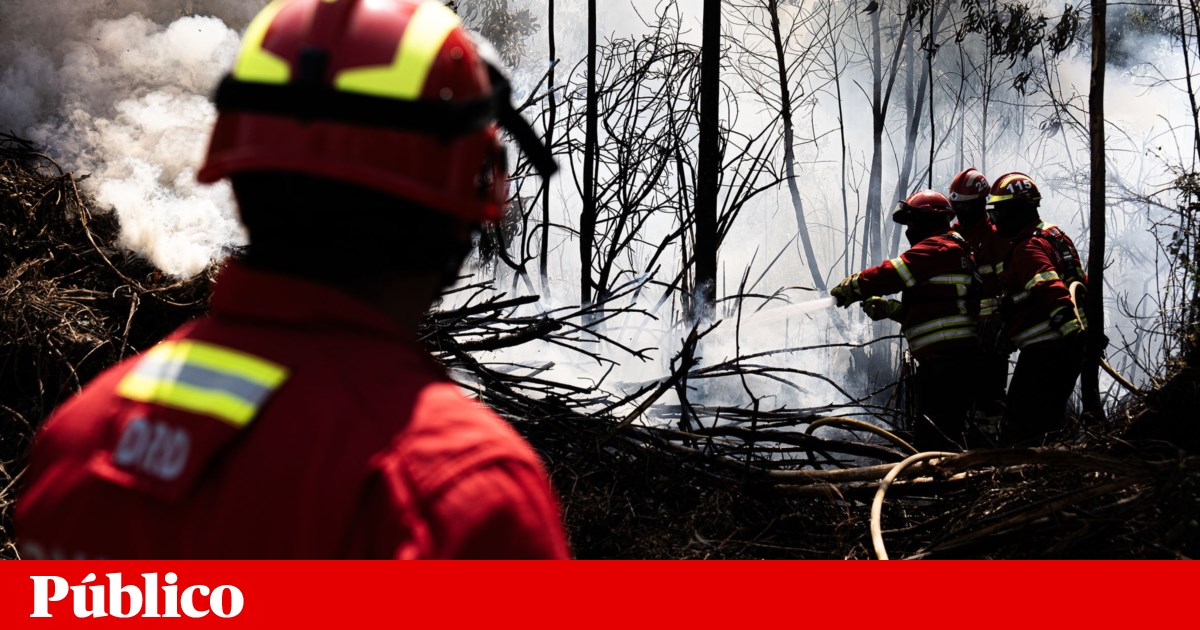 Comandante de Bombeiros do Fundão demite-se após caso de violação no quartel
