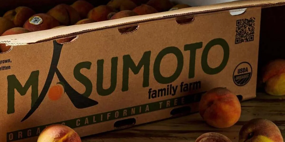 Conheça a fazenda que está salvando frutas raras e sabores esquecidos