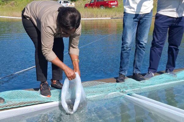 EM GAZA: CEP entrega gaiolas e alevinos para fomento piscícola