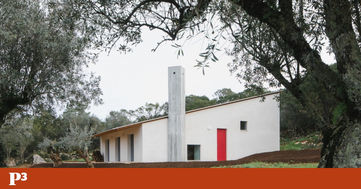 Em Ansião, uma casinha que nasceu da paisagem foi devolvida ao seu lugar