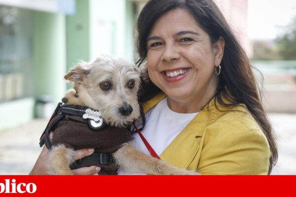Há demasiada “fragmentação eleitoral”: PAN não apoia qualquer candidato presidencial