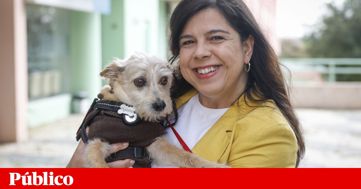 Há demasiada “fragmentação eleitoral”: PAN não apoia qualquer candidato presidencial