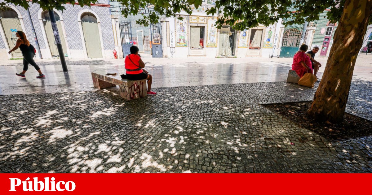 Junta lisboeta de Arroios revoga exigência para atestados de residência a estrangeiros