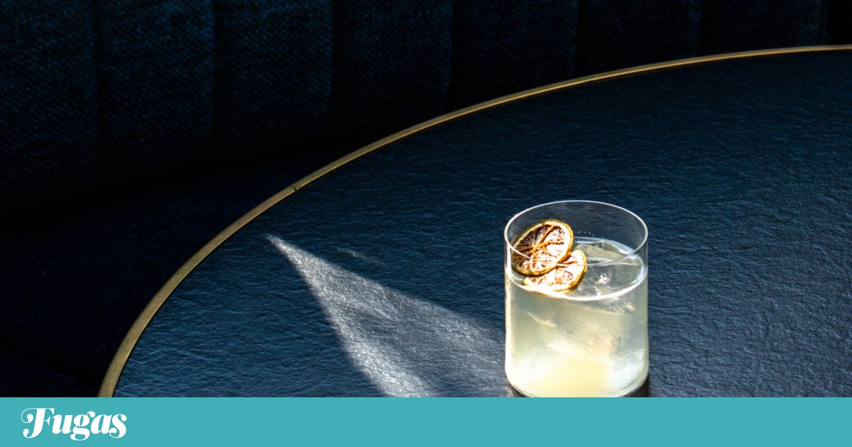 Justiça europeia proíbe bebida “sem álcool” de ser vendida como “gin”