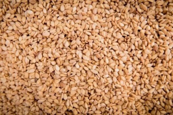 Moçambique na lista dos maiores produtores de Gergelim