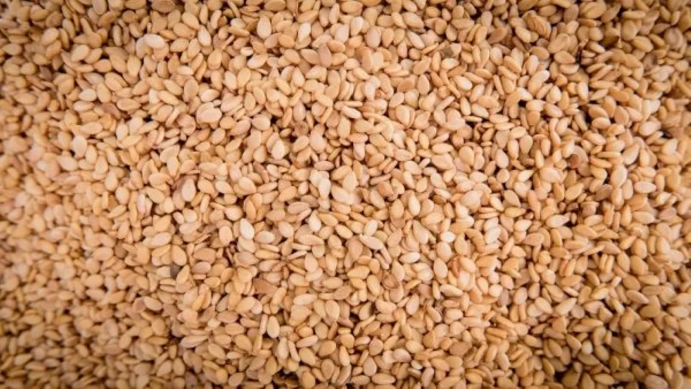 Moçambique na lista dos maiores produtores de Gergelim