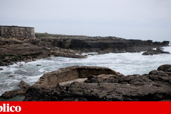 Municípios adjudicam estudos para futura Área Marinha Protegida de Cascais, Mafra e Sintra