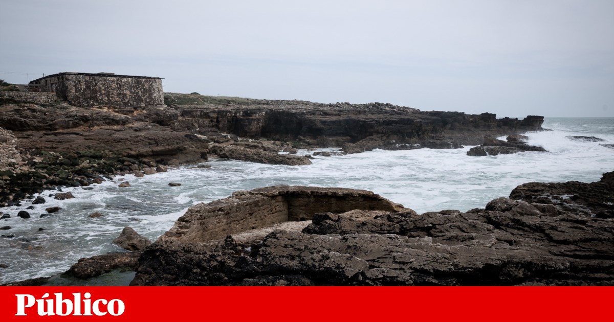Municípios adjudicam estudos para futura Área Marinha Protegida de Cascais, Mafra e Sintra