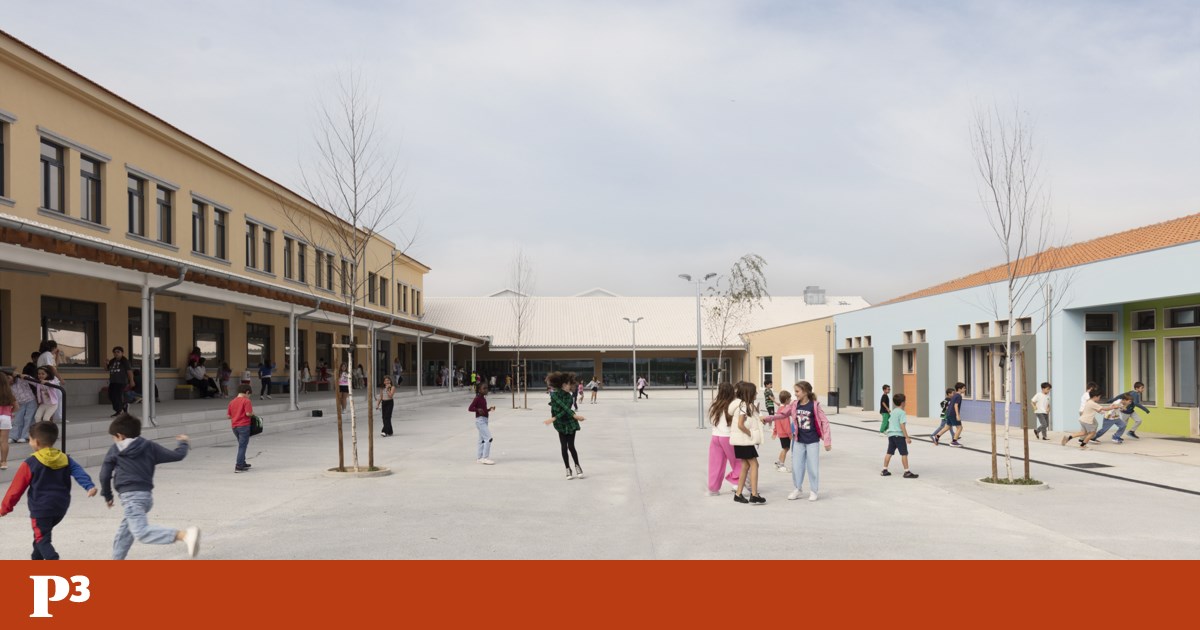 Nesta escola em Aveiro um arquitecto fez um coberto para as crianças brincarem em dias de chuva