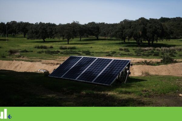 OCDE alerta que políticas fragmentadas prejudicam combate à “tripla crise” planetária
