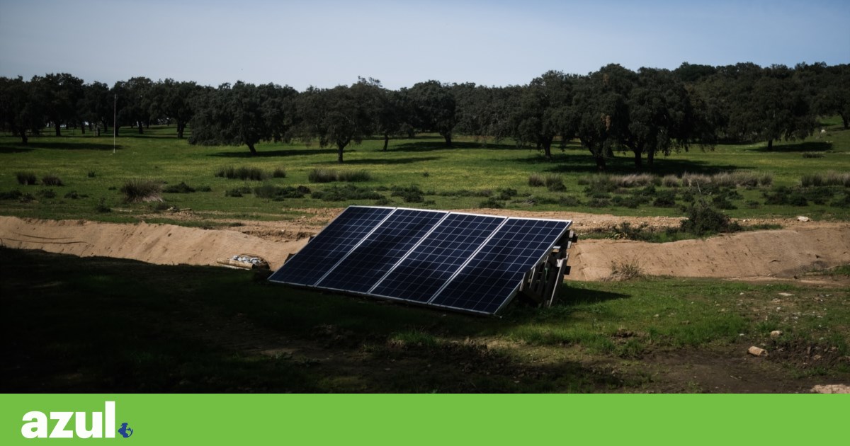OCDE alerta que políticas fragmentadas prejudicam combate à “tripla crise” planetária