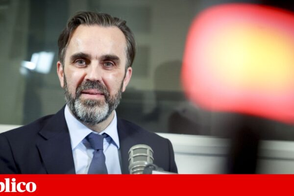 Ordem dos Médicos critica projecto do Governo para acompanhar grávidas de baixo risco e ataca silêncio da ministra