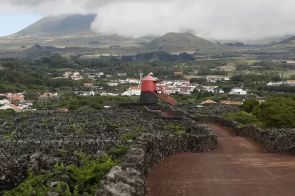 Plano de apoio à agricultura disponibiliza 24 milhões para os Açores