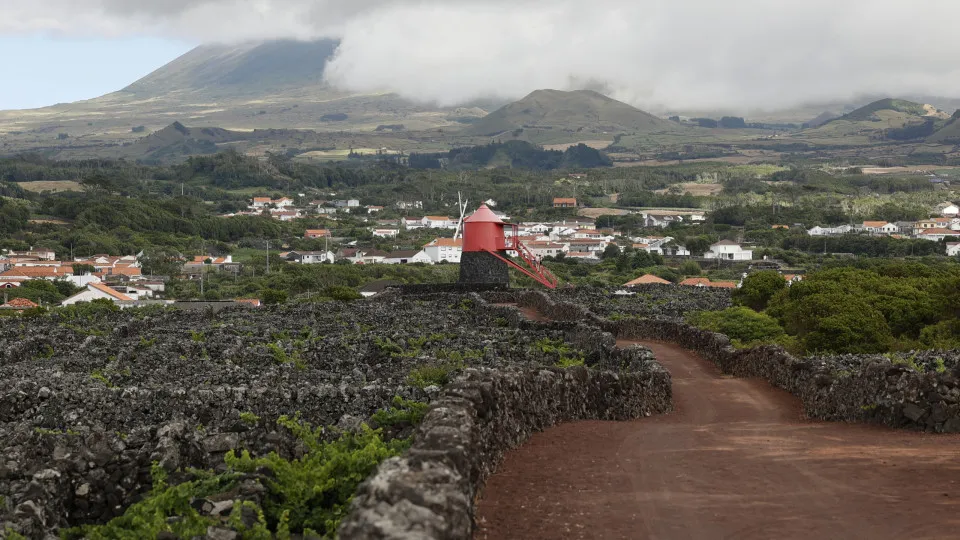 Plano de apoio à agricultura disponibiliza 24 milhões para os Açores