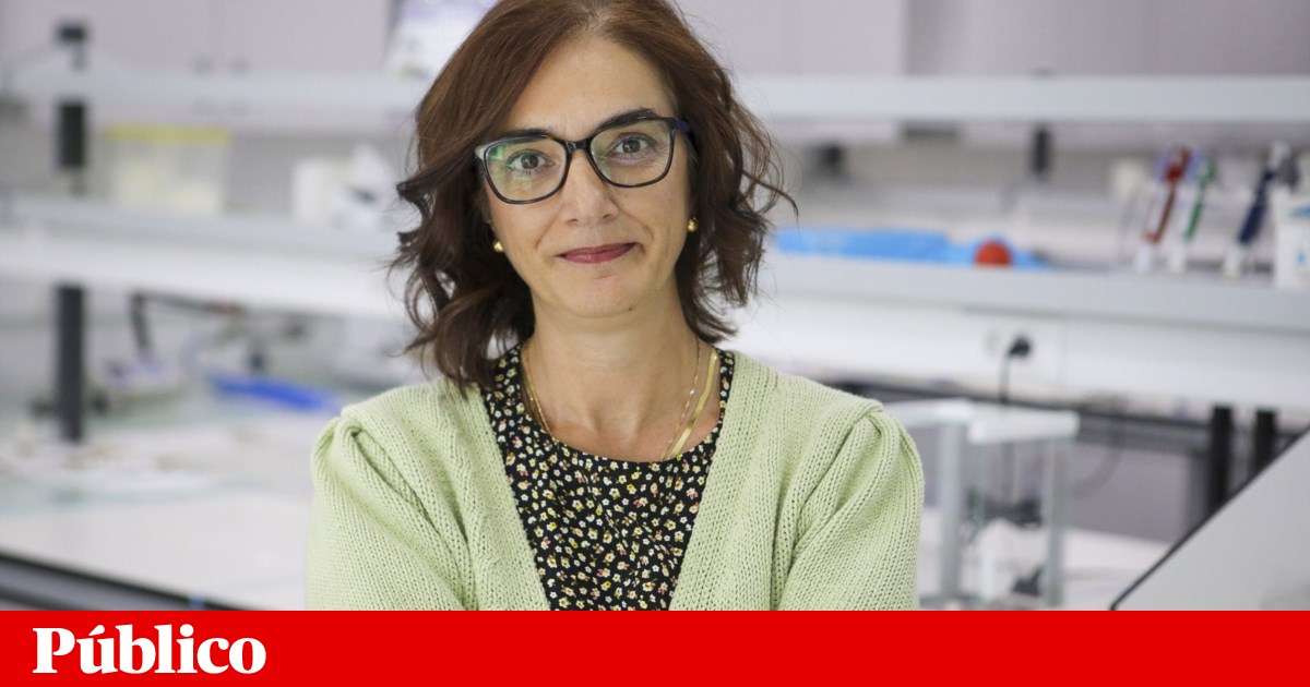 Portugal lidera consórcio para criar adesivo que sinaliza níveis de glucose no suor