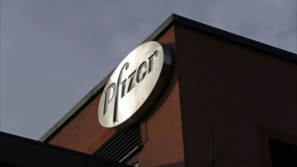 Prémios Pfizer distinguem medicina personalizada contra cancro