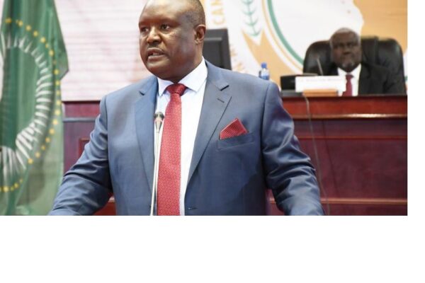Presidente do Parlamento Pan-Africano visita Moçambique