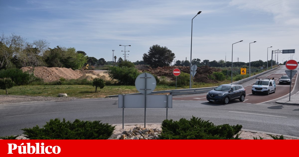 Vem aí o maior parque verde urbano de Cascais? Câmara vai comprar terrenos por 30 milhões de euros