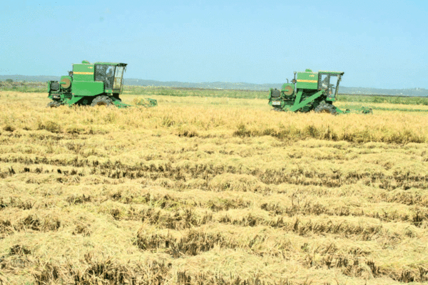 Detalhada visão para o alcance da independência económica do país