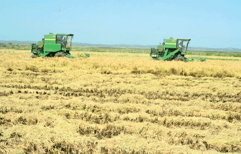 Detalhada visão para o alcance da independência económica do país