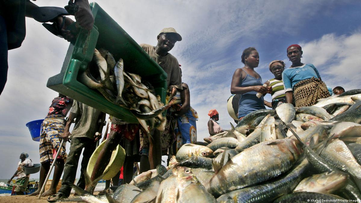 Estado perde anualmente 70 milhões dólares devido à pesca ilegal