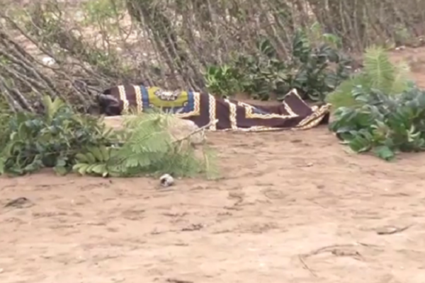 Inhambane: Homicídios e suicídios inquietam Assembleia Provincial