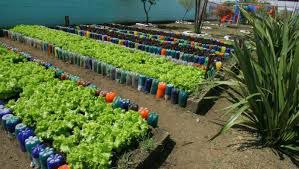 Institutos devem produzir comida para formandos
