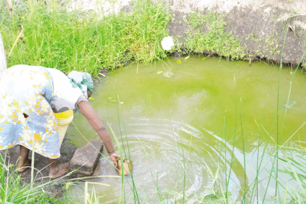 KUFA – PROVÍNCIA DE MAPUTO: Onde humanos e bichos disputam água do charco