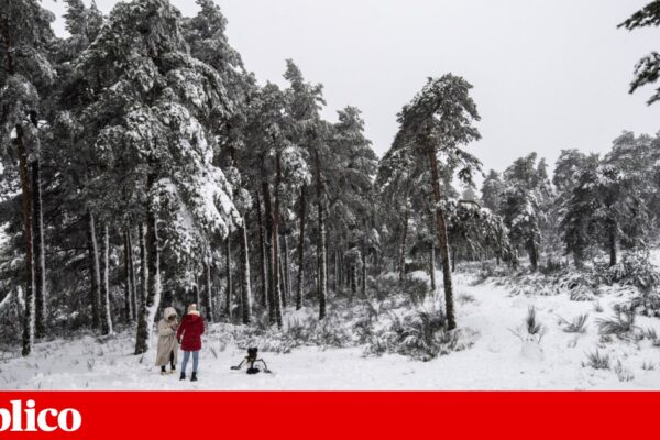Neve fecha acesso ao maciço central da serra da Estrela. Escolas de Montalegre encerradas
