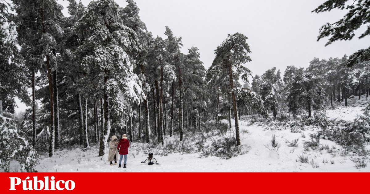 Neve fecha acesso ao maciço central da serra da Estrela. Escolas de Montalegre encerradas