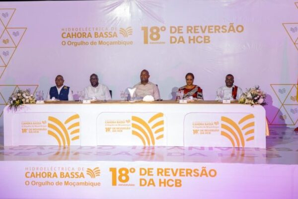 Presidente da República pede reformas no modelo de venda de energia em Moçambique