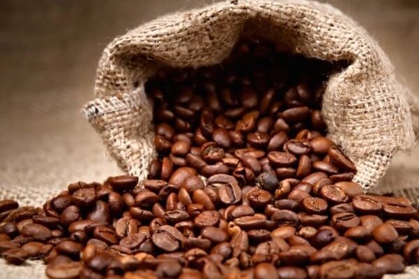 Sofala conta com nova fábrica de processamento de café avaliada em 25,6 milhões de meticais