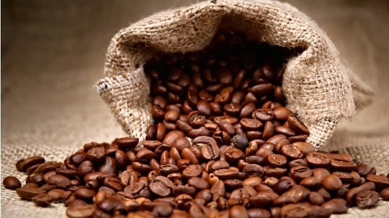 Sofala conta com nova fábrica de processamento de café avaliada em 25,6 milhões de meticais