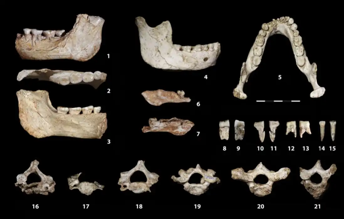 Descoberta palentológica no Marrocos “tira da caverna’’ período-chave na evolução humana