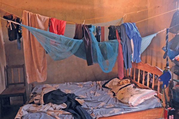 EM 2025: Quelimane regista cinco mortes por malária