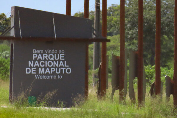 EM MATUTUÍNE: Detidos três fiscais do Parque Nacional de Maputo