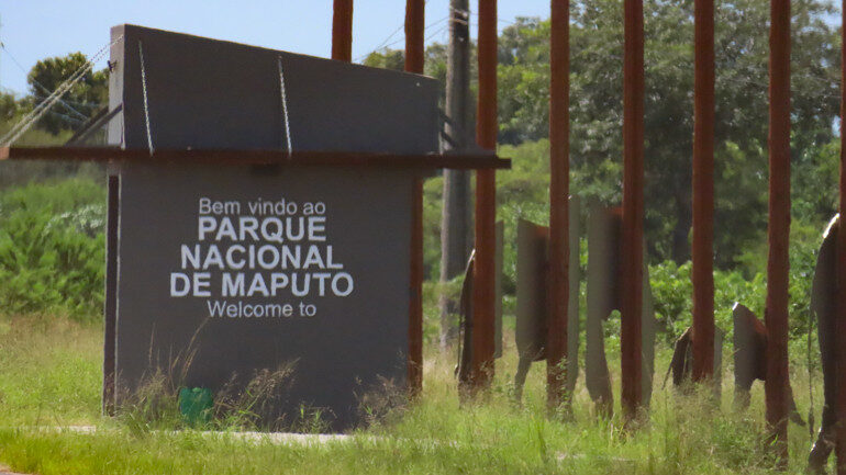EM MATUTUÍNE: Detidos três fiscais do Parque Nacional de Maputo