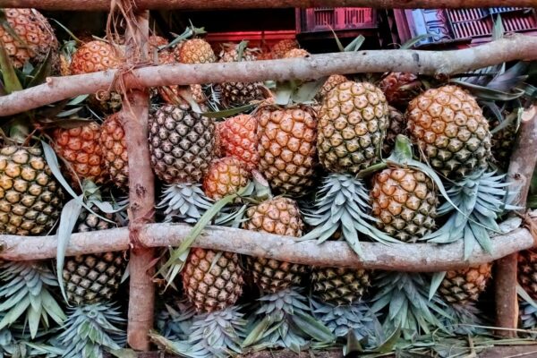 Produtos alimentares deterioram em Magul