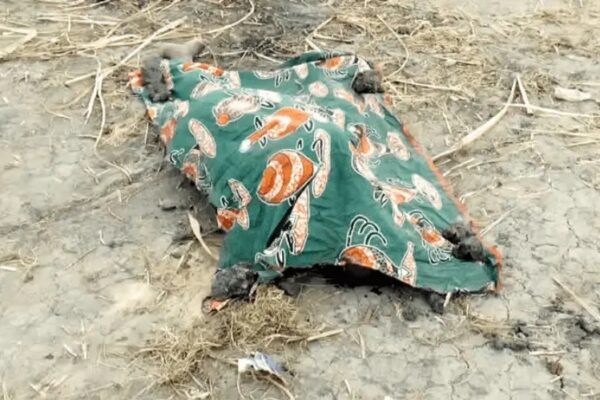 SERNIC: Campanha de consciencialização contra homicídios em Inhambane