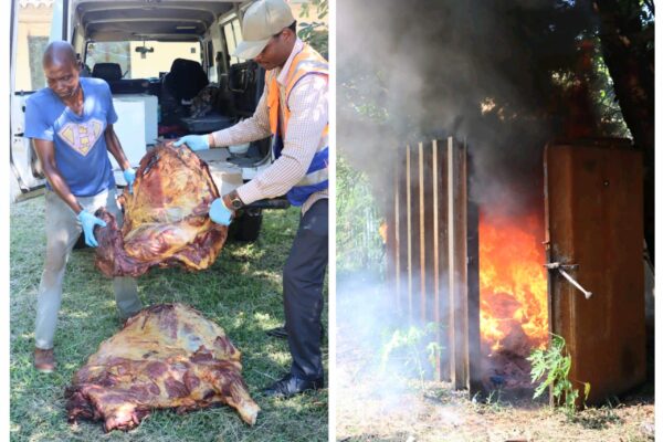Apreendida carne bovina imprópria no Xipamanine