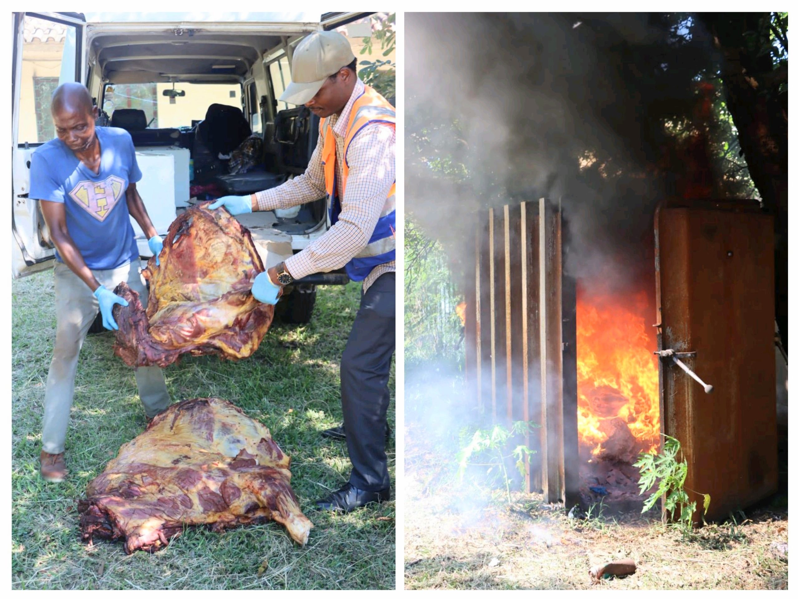 Apreendida carne bovina imprópria no Xipamanine