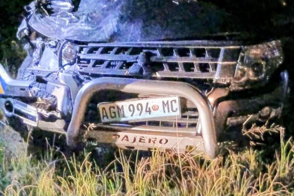 Automobilista embate num elefante em Maputo