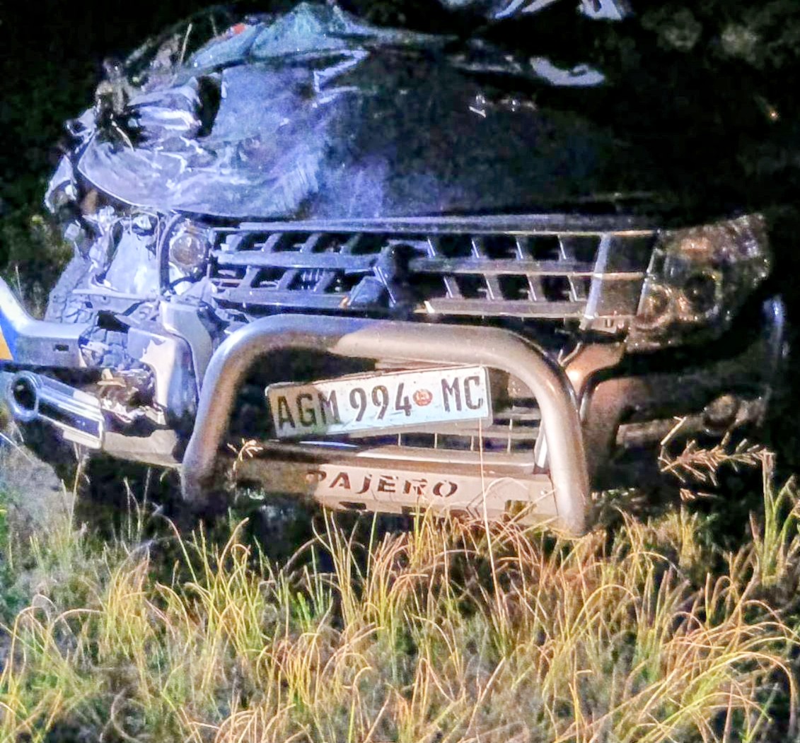 Automobilista embate num elefante em Maputo