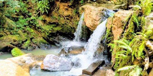 CACHOEIRA DA AMIZADE: Tesouro escondido nas matas de Gondola