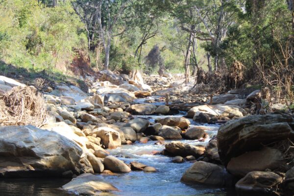 CHIMANIMANI: A importância ecológica do rio Mussapa